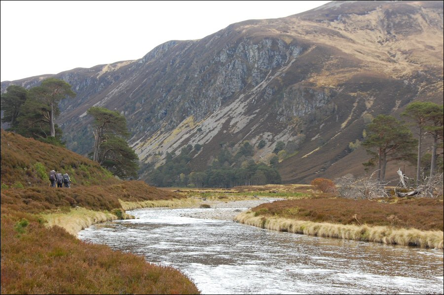 Glen Feshie