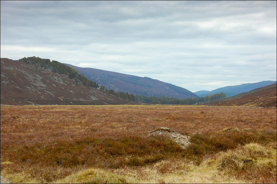 Looking down towards the Linn of Dee