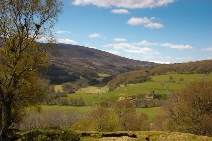 Looking back up Glen Gairn